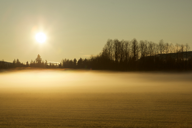 Auringonpaiste ja sumua 