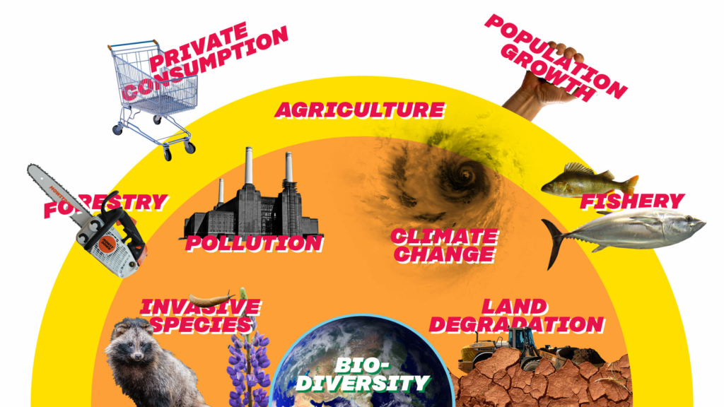 Biodiversity is impacted by land degradation, invasive species, pollution, climate change, agriculture, forestry, fishery, population growth and private consuption