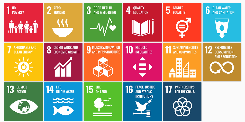 Picture of all 17 United Nations Sustainable Development Goals (SDGs)