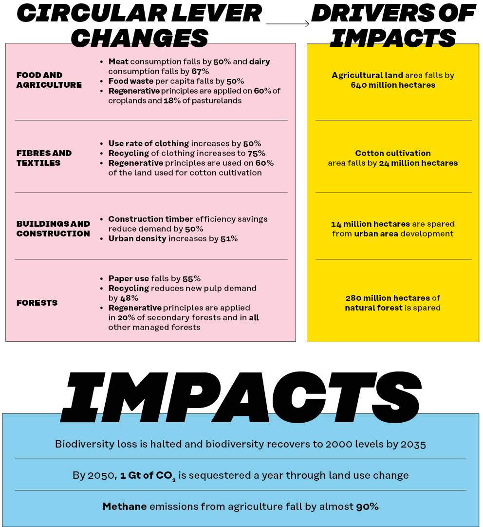 Tackling root causes - Sitra