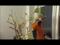 Video: Asunto-osakeyhtiölaki muuttuu - oletko valmis? (TeeParannus)