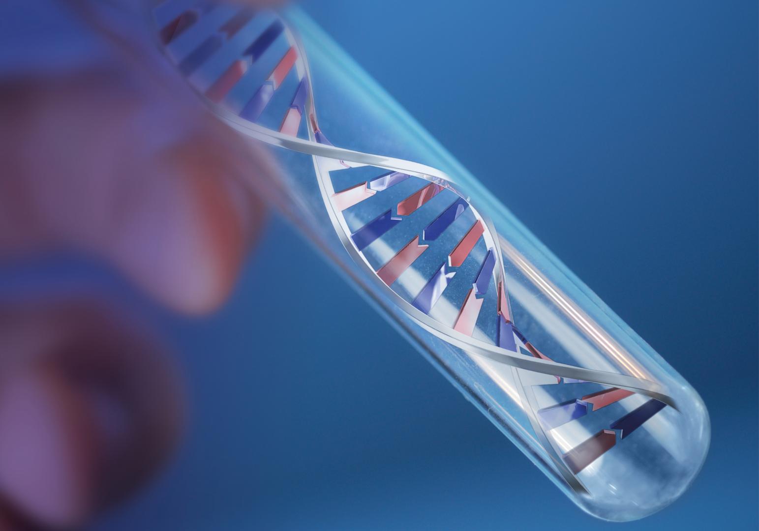 dna koeputkessa