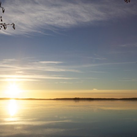 Aurinko