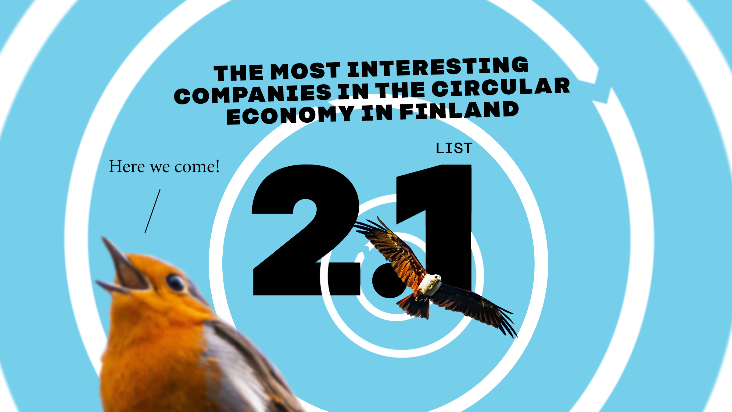 Blue coloured picture with a text: "The most interesting companies in the circular economy in Finland." There is also two birds flying in the picture.