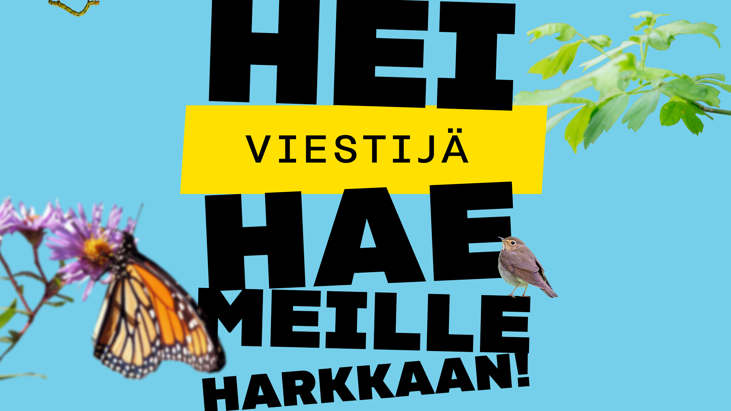 Kuvituskuva, jossa lukee: Hei viestijä hae meille harkkaan!